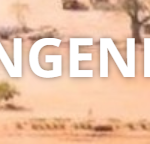 RCM — ENGENHARIA S.A